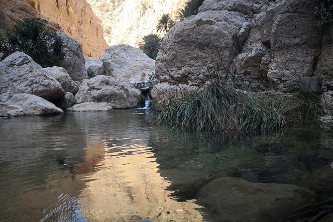 East Coast and Wadi Shab tour - Analyzing the Value