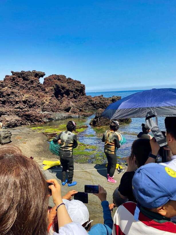 EAST JEJU: All Inclusive Private Tour w/ Taekwondo Show - The Taekwondo Show: A Dynamic Cultural Welcome