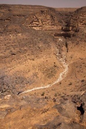 East & West Salalah Combination Tour - Darbat Waterfall, Mughsail - Transportation and Logistics