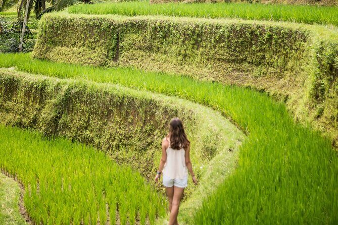 Eat Pray Love Bali Private Tour Full Day - Practical Considerations