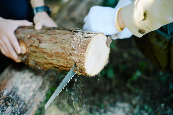 Ecotourism and Woodcraft with a Mountain Artist Near Tokyo - The Sum Up: Who Will Love This?