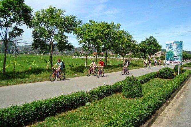 Ecotourism Ninh Binh: Boat trip, Biking, Cave hiking and Pagoda - What Makes This Tour Stand Out?