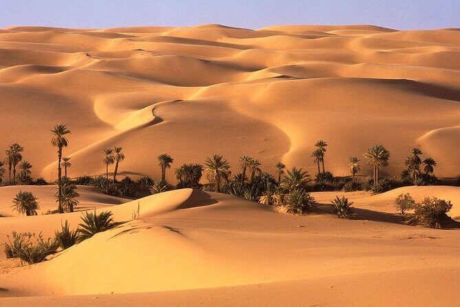 Egypt Desert Safari from Luxor Private - The Itinerary in Detail