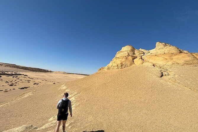 El Fayoum Oasis and Wadi Rayan Waterfall Private Tour from Cairo - Analyzing Value and Practicalities