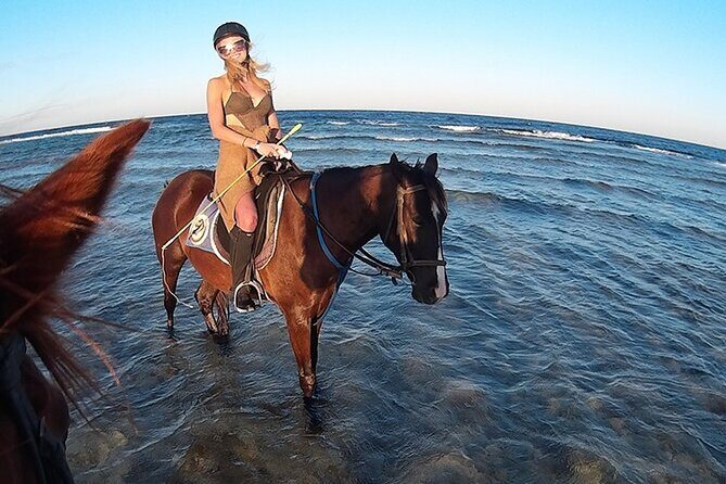 El Gouna Horse Ride Tour - Who Will Love This Tour?