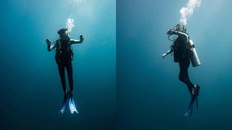El Nido: Discover Scuba Diving with Manta Rays in Sibaltan - Who Will Love This Tour?
