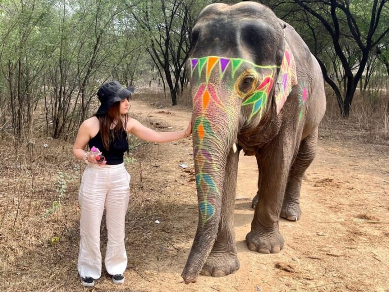 Elefun Best Elephant Sanctuary in Jaipur - What to Expect at Elefun Elephant Sanctuary