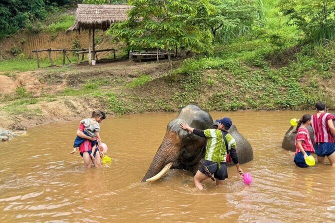 Elephant Care & Bathing Chiang Rai - The Mud Spa: Protecting Elephant Skin
