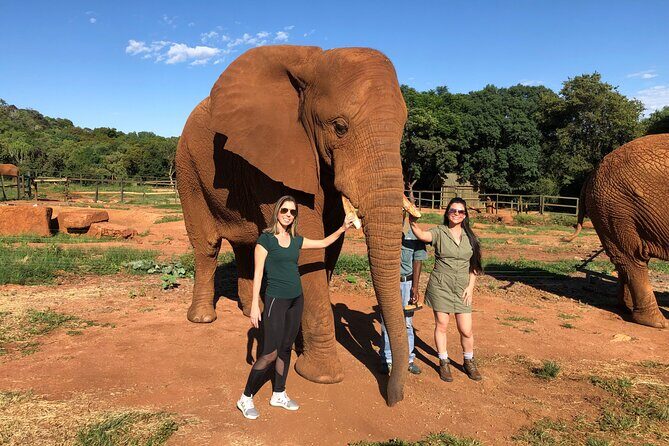 Elephant & Monkey Sanctuary Tour from Johannesburg - Who Should Consider This Tour?