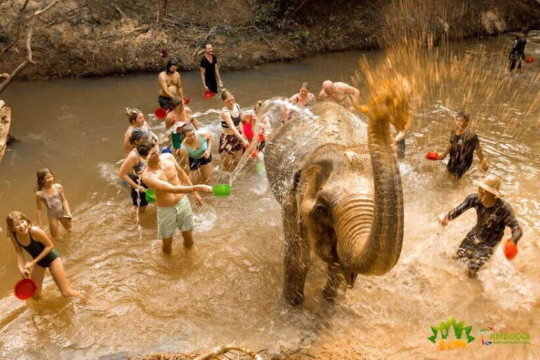 Elephant Sanctuary Cambodia, Pickup and drop off included - Who Should Consider This Tour?