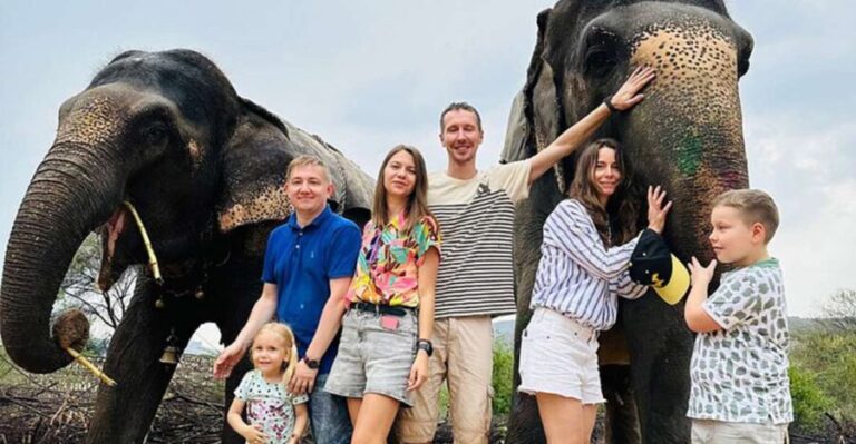 Elephant Sanctuary for Best elephant experience in Jaipur - Why This Tour Is Right for You