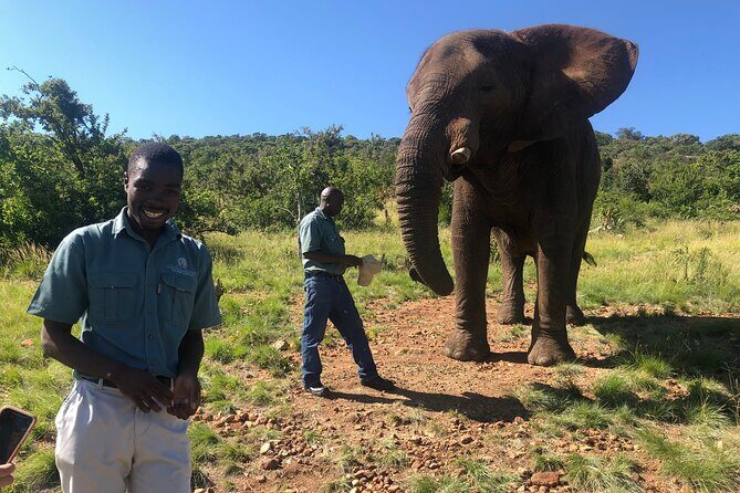 Elephant Sanctuary Tour from Johannesburg - Who Will Love This Tour?