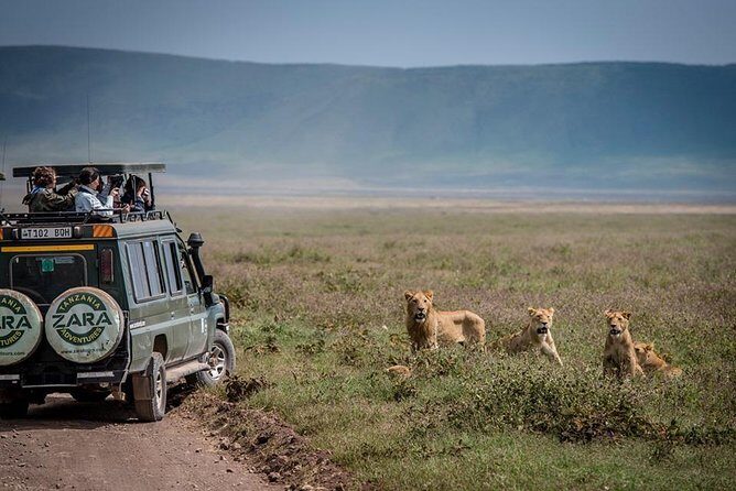 Elephant Special Serengeti & Ngorongoro Crater 5 Days / 4 Nights - A Consideration to Keep in Mind