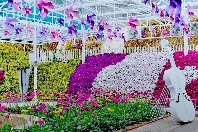 Elevate Your Senses: A Day of Wonders in Cameron Highlands! - The Bottom Line