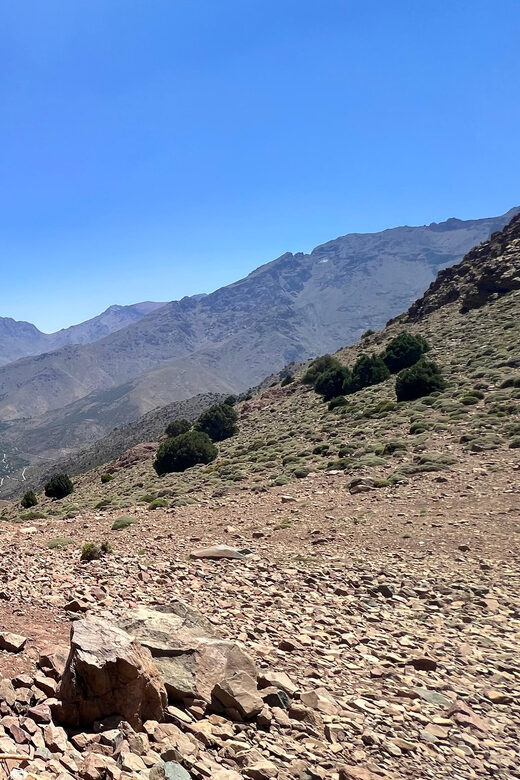 Elite Experience Atlas Mountains Hiking Day trip - Why This Tour Offers Great Value