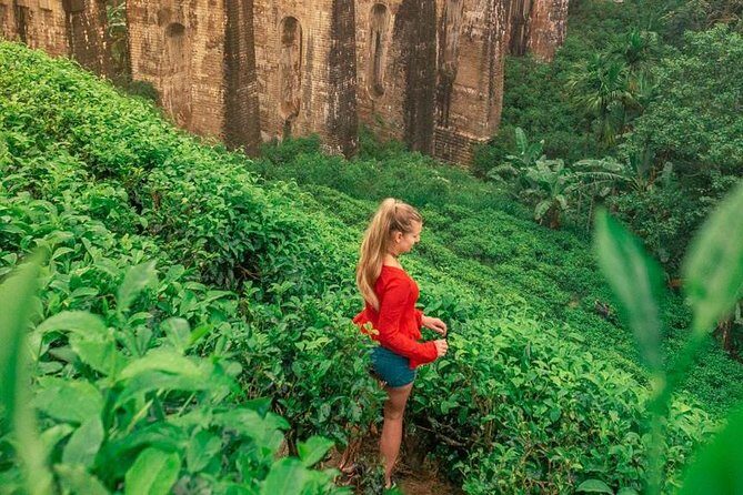 Ella Day Trip from Mirissa, Weligama, Galle, Hikkaduwa - Authentic Experiences and Local Insights