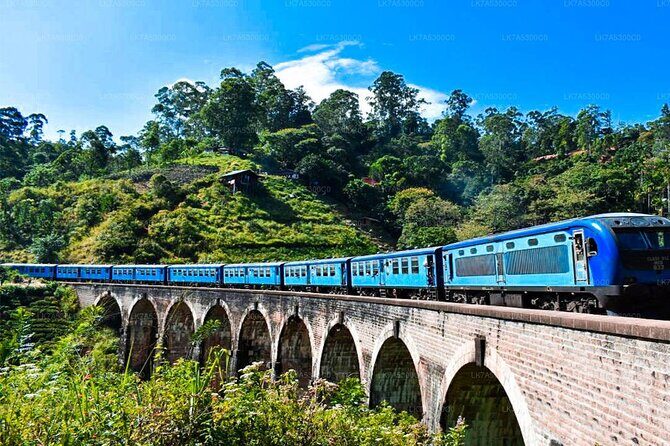 Ella Day Trip with Train Ride & Tea Factory - All Inclusive - What the Reviews Say