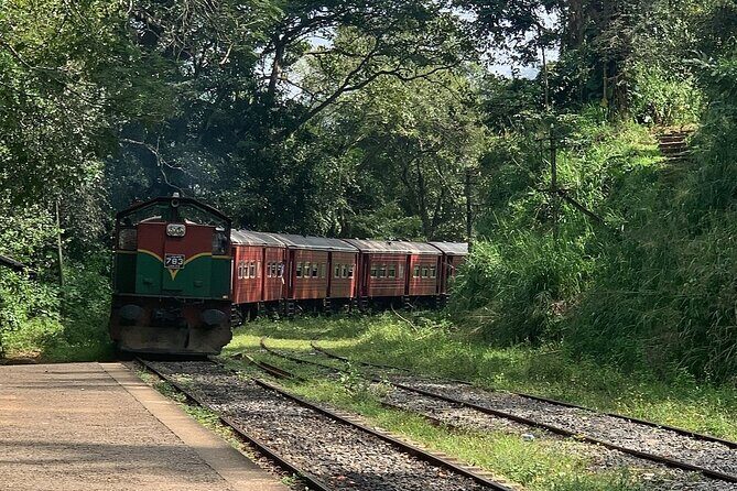 Ella Private Day Tour - Departing from Any Location in Sri Lanka - Authentic Experiences and Traveler Insights