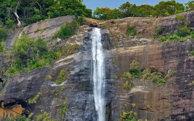Ella: Ravana and Upper Diyaluma Falls Guided Tour - Authentic Reviews Highlighting the Experience