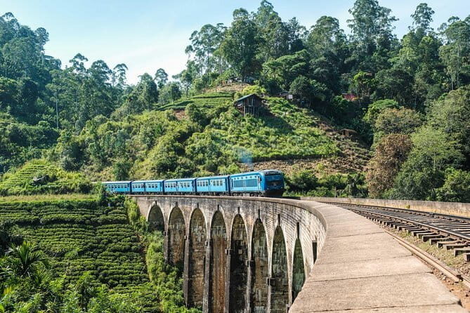 Ella to Colombo Train Tickets (Reserved Seats) - The Experience: What to Expect on the Ella to Colombo Train