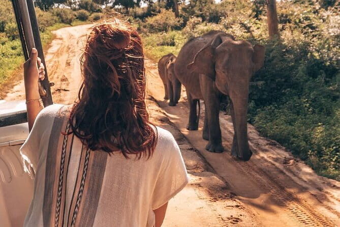 Ella to Mirissa Shuttle & Safari Drive - The Experience from Our Perspective