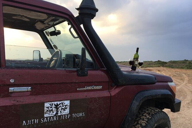 Ella to Tangalle/Hiriketiya/Mirissa/Galle Shuttle & Yala Safari - A Deep Dive into the Tour Experience