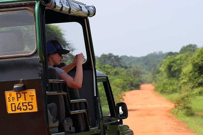Ella: Transfer to Tangalle/Mirissa/Galle & Yala/Udawalawe Safari - Who Is This Tour Best For?