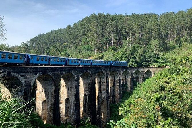 Ella:One Day Tour From Ella & Pickup From Tangalle/Mirisa/Colombo - Authentic Experiences and Honest Feedback