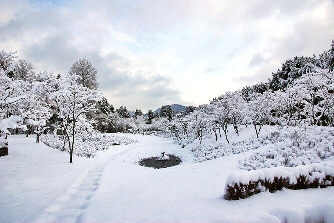 Elysian Gangchon Winter Ski with Nami Island Day Tour from Seoul - The Itinerary Breakdown: What to Expect