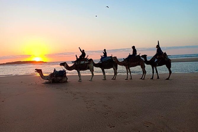 EN PETIT GROUPE vers ESSAOUIRA depuis MARRAKECH - Who Should Consider This Tour?