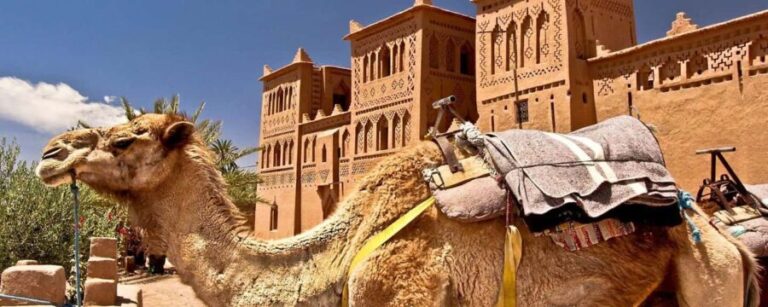 Enchanting Desert Journey 3 Days from Marrakech to Fez - What’s Included and What’s Not