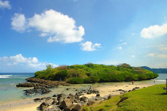 Enchanting South of Mauritius: Full-day tour Incl CASELA Park, Lunch & Transfer - The Adventure at Casela Nature Parks