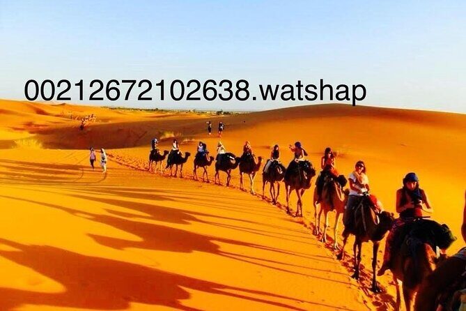 Enjoy 3 Days luxury camp Sandboard from Fes back fes,ou Marakech - Detailed Breakdown of the Itinerary