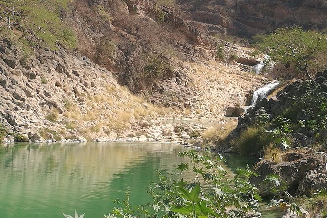 Enjoy a Full-Day Tour Uncovering East Salalahs Hidden Gems - The Practical Side