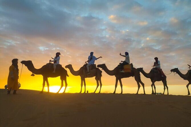 Enjoy Luxury camp 1 nights .camel Drums sandboarding.QUADS - Who Should Consider This Tour?