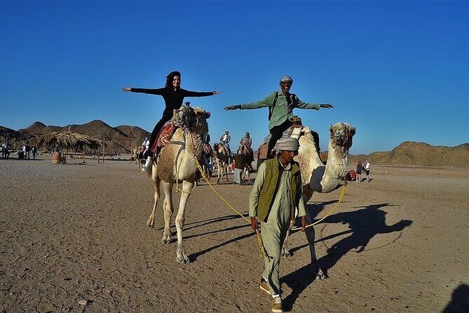 Enjoy with 1 - Hour Camel Ride with Transportation in Hurghada - The Transportation and Logistics