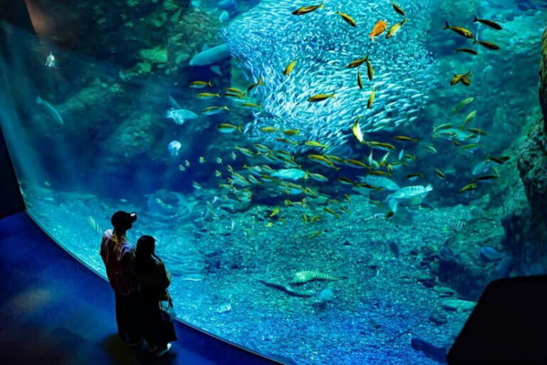 Enoshima Aquarium: Admission Ticket - Who Should Visit?