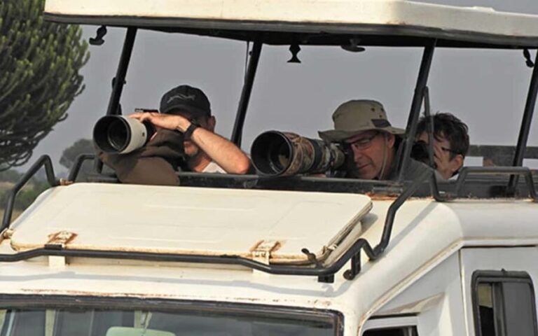 Entebbe: 9-Day Uganda Gorilla Trekking & Tanzania Safari - Transportation, Accommodations, and Guides