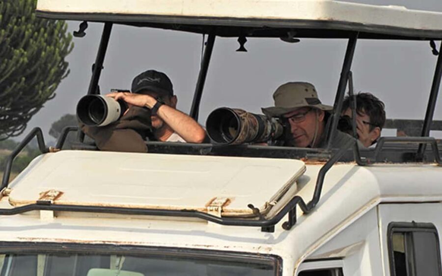 Entebbe: 9-Day Uganda Gorilla Trekking & Tanzania Safari
