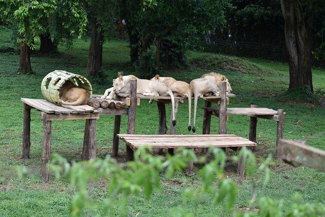Entebbe Eco Tour - Full Day - How a Typical Day Unfolds
