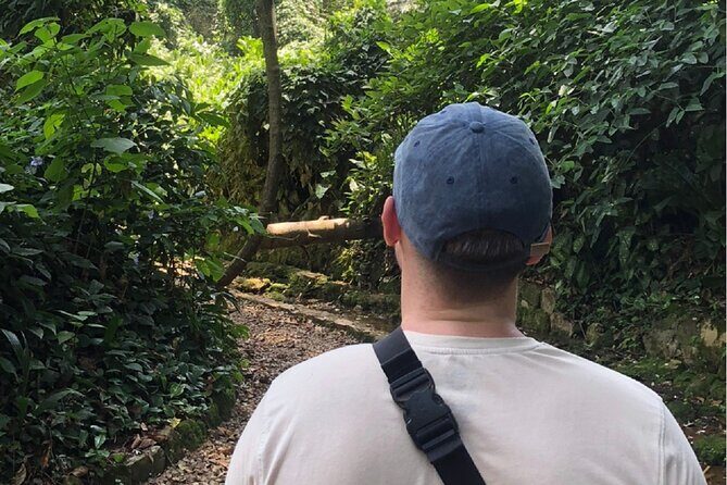 Entebbe Walking Tour (3 Hours) with Zoo and Botanical Gardens Options - What to Expect from the Entebbe Walking Tour