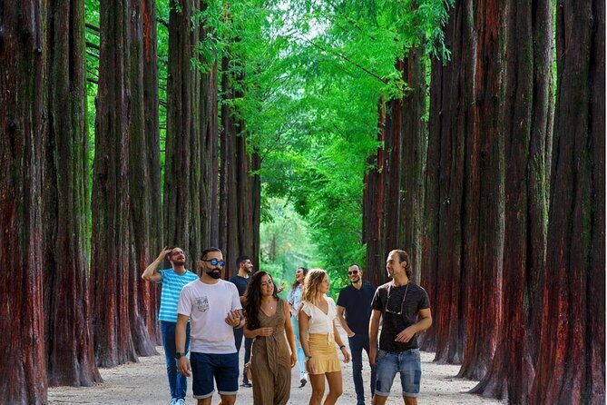 Eobi Ice Valley& Nami Island with Garden of Morning Calm Trip - Authentic Experiences and Practical Tips