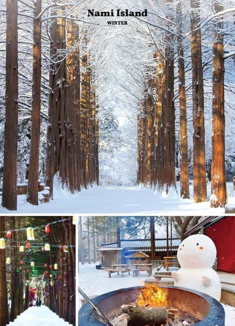 Eobi Ice Valley & Nami & Petite (+ Light Festival, Railbike) - Who Will Love This Tour?