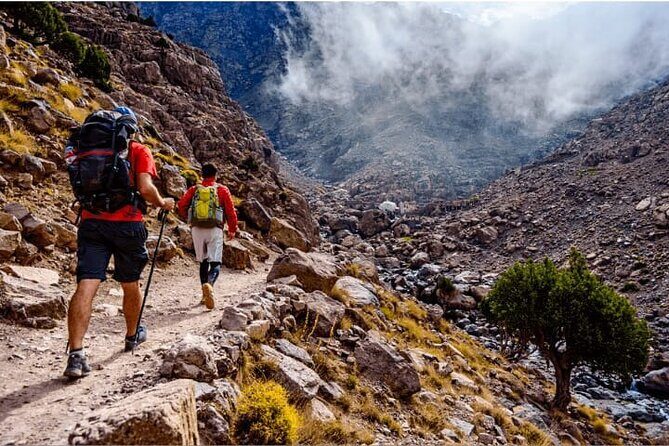 Epic Escape!Berber Day Out : Scenic Hike, Lunch & Mountain Views - Who Would Enjoy This Tour?