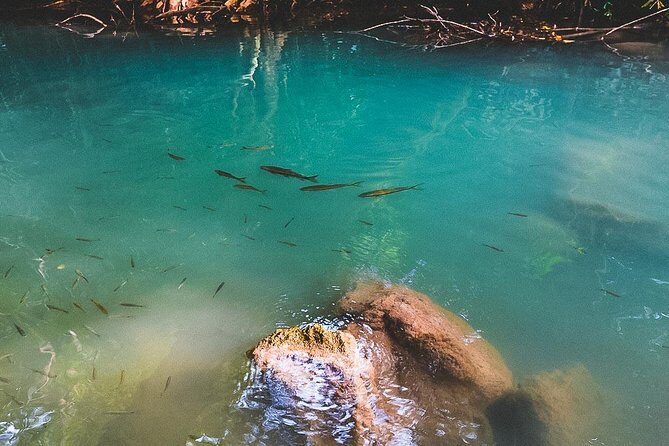 Erawan Waterfall and Elephant Care: Private Tour to Kanchanabur - Practical Details and What It Means for You