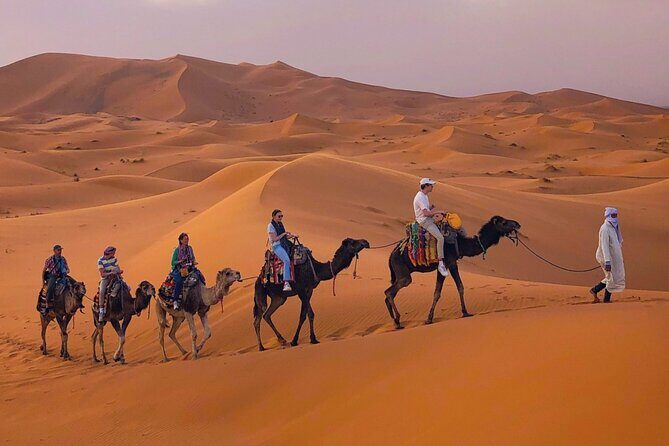 Erg Chebbi Desert Overnight in Tent with Camel Ride & Sandboard - Who Will Love This Experience?