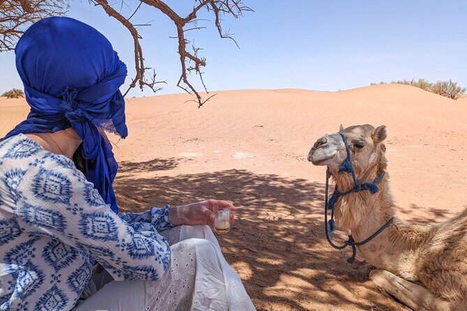 Erg Chigaga Desert Tour from Mhamid by 4x4 Morocco Sahara dunes - The Cultural and Scenic Highlights