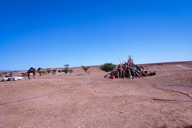 Erg Chigaga Overnight stay in the heart of the great dunes. - Final Thoughts