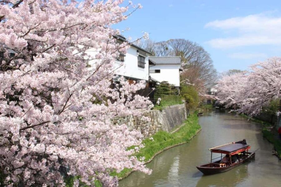 Escape Kyotos Crowds to Tranquil Hachiman Canals and Nature - In-Depth Review of the Omihachiman Experience