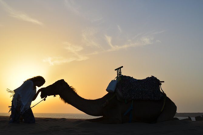 Essaouira: 1/2 Day Camel ride with meal. - The Return and End of Tour